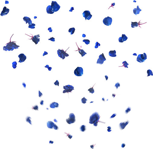 Blue Flowers Falling In The Air