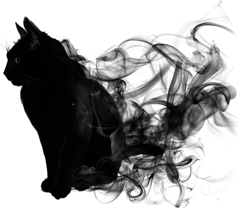 A Black Cat With Smoke Coming Out Of It