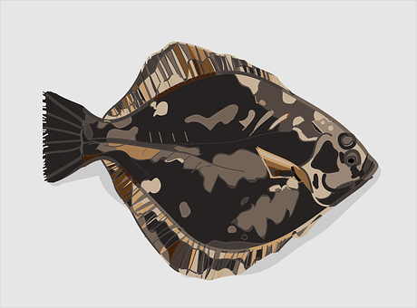 A Fish With A Brown And Black Pattern