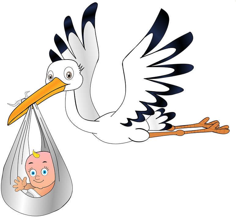 A Cartoon Of A Stork Carrying A Baby