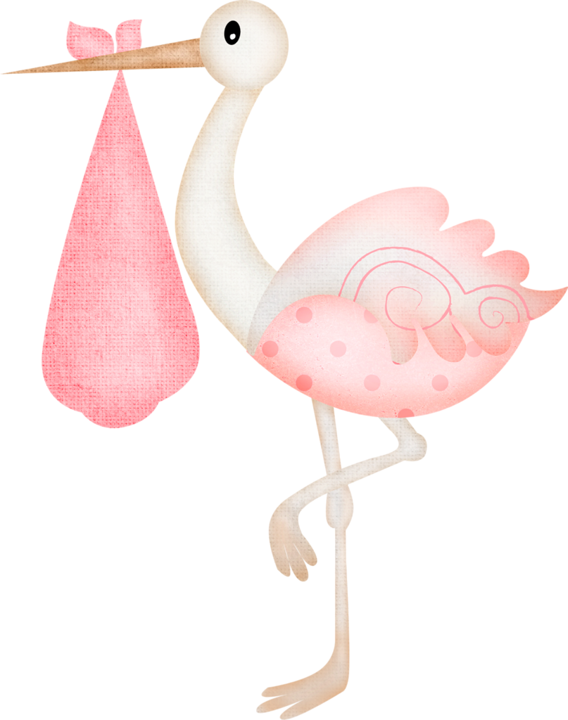 A Pink Bird With A Drop Of Water
