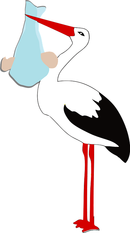 A Cartoon Of A White Stork With A Blue Baby In Its Mouth