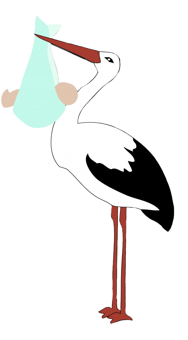 A Cartoon Of A White Stork With A Baby