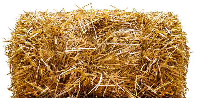 A Close Up Of Hay
