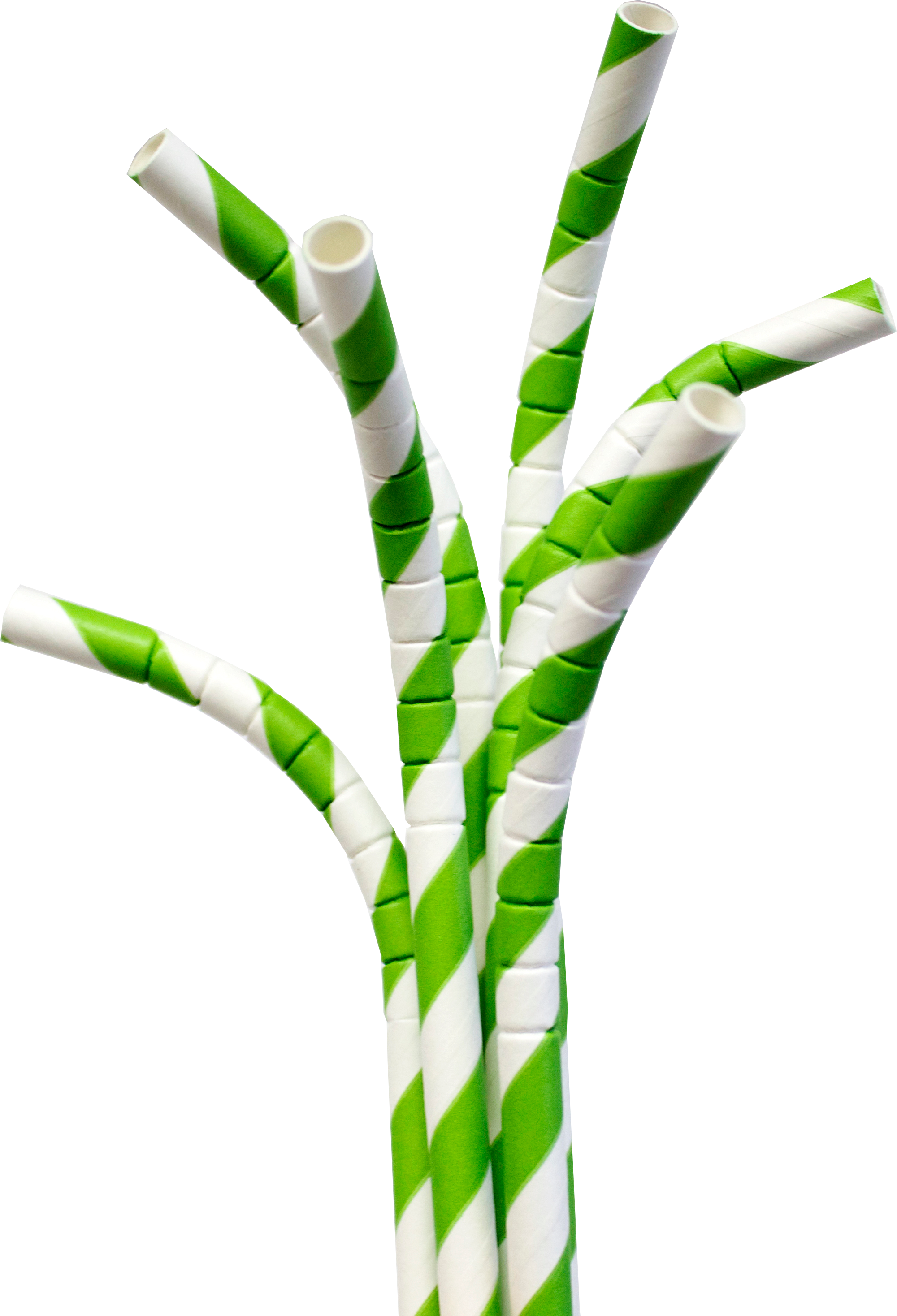 Straw Png 2001 X 2937