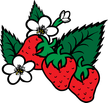 A Drawing Of Strawberries And Flowers