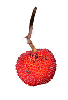A Red Fruit With Black Spots