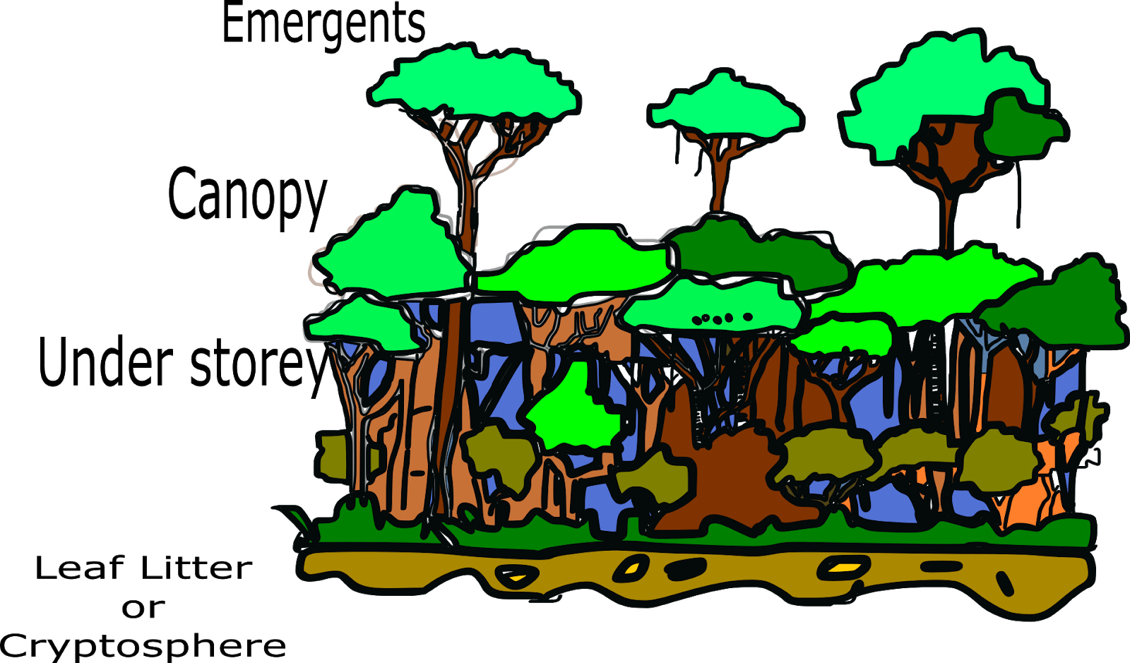 A Drawing Of Trees And Bushes