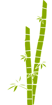 A Green Bamboo With White Lines On It
