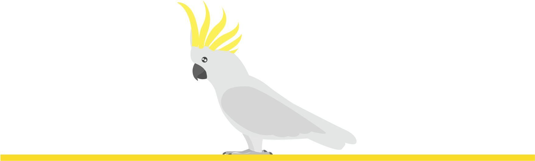 A White Bird With Yellow Spikes