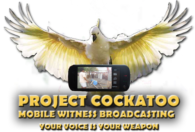 A Bird With Wings Spread And A Phone
