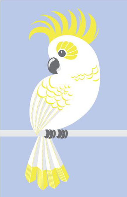 A White Bird With Yellow Feathers