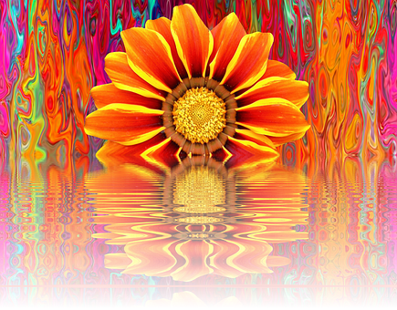 A Flower With A Colorful Background