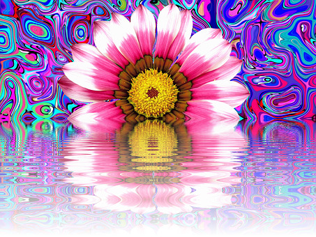 A Pink Flower With Yellow Center And A Colorful Background