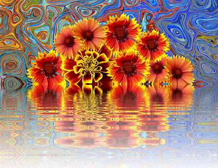 A Group Of Flowers In A Colorful Background