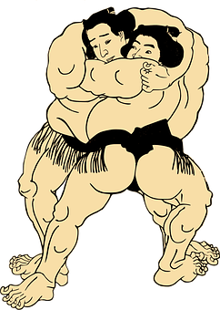 Sumo Png 242 X 340