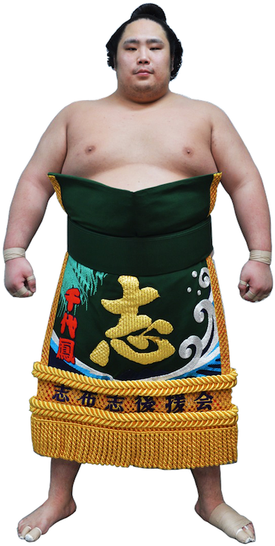 Sumo Png 401 X 797