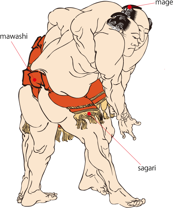 Sumo Png 590 X 708
