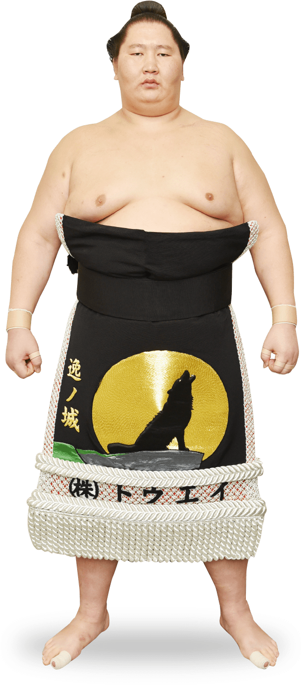 Sumo Png 601 X 1367