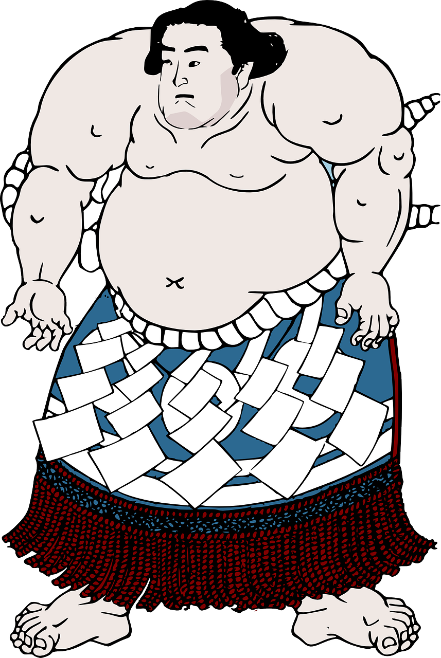 Sumo Png 857 X 1280