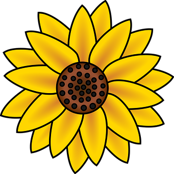 A Yellow Flower With Black Background