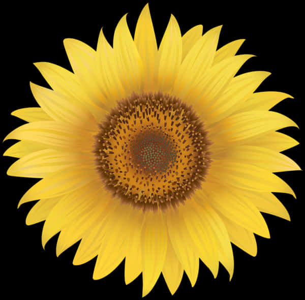 Sunflower Png 600 X 590