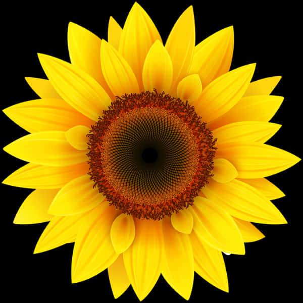 Sunflower Png 600 X 600