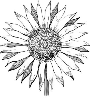A Black Background With A Black Circle