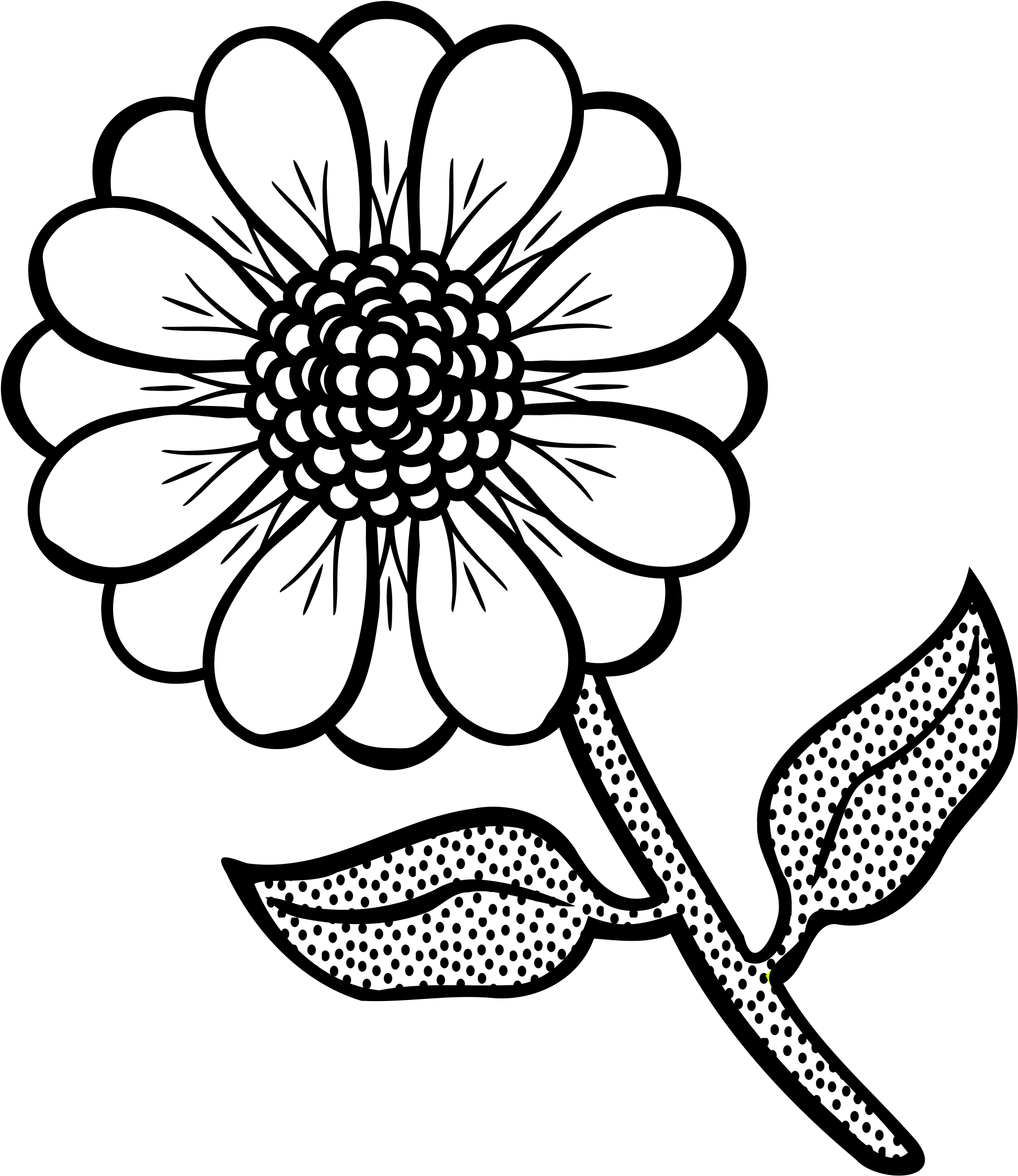 A White Flower With Black Dots