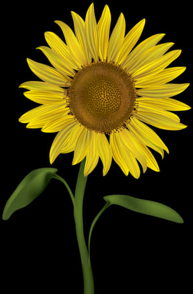 Sunflower Png 394 X 600