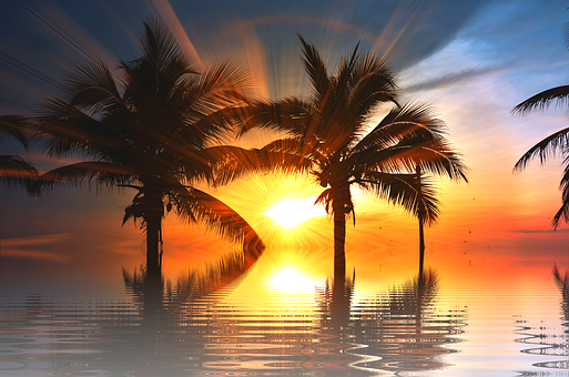 A Sunset Over A Body Of Water With Palm Trees