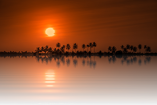 A Sunset Over A Body Of Water With Palm Trees