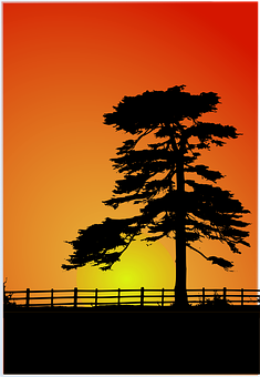 A Tree With A Fence And A Sunset