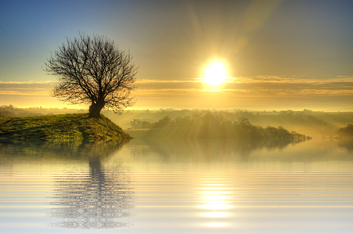 A Tree On A Hill With A Body Of Water And The Sun