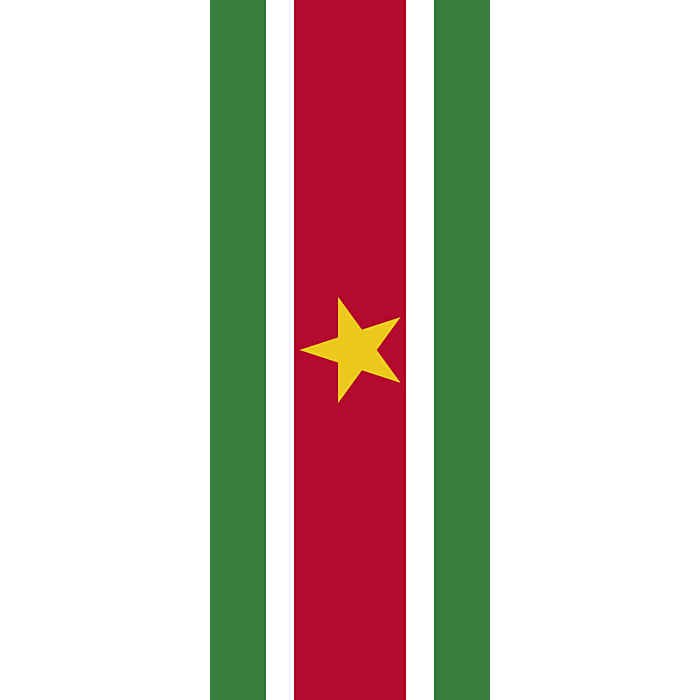 A Red Green And White Striped Flag With A Star