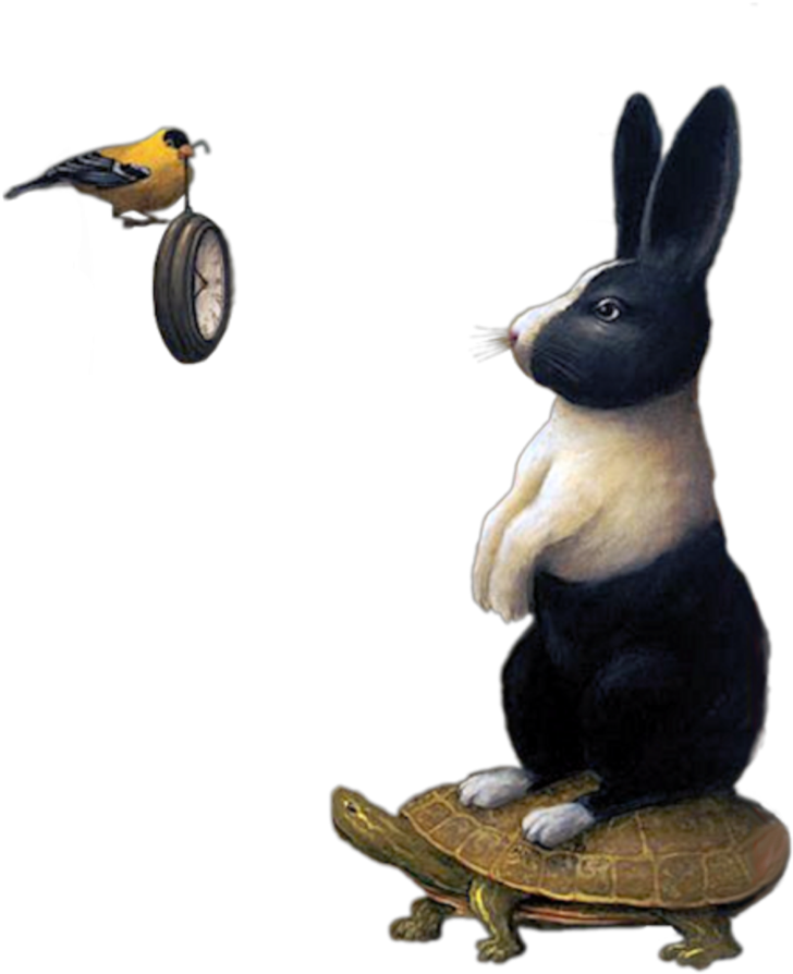 #surreal #rabbit #bird #watch #freetoedit - Domestic Rabbit, Hd Png Download