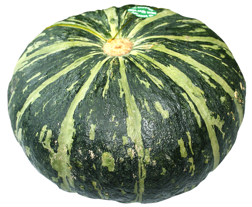 A Green And Yellow Striped Pumpkin