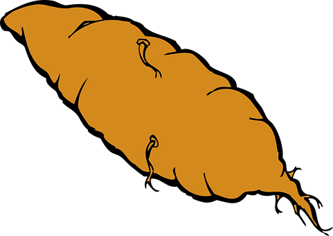 A Drawing Of A Brown Object