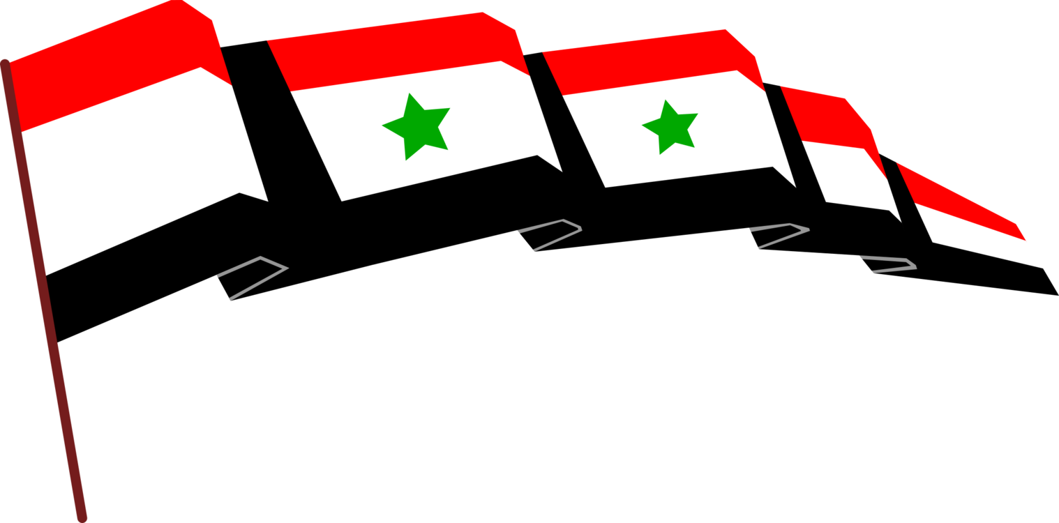 A Group Of Flags With Green And Red Colors