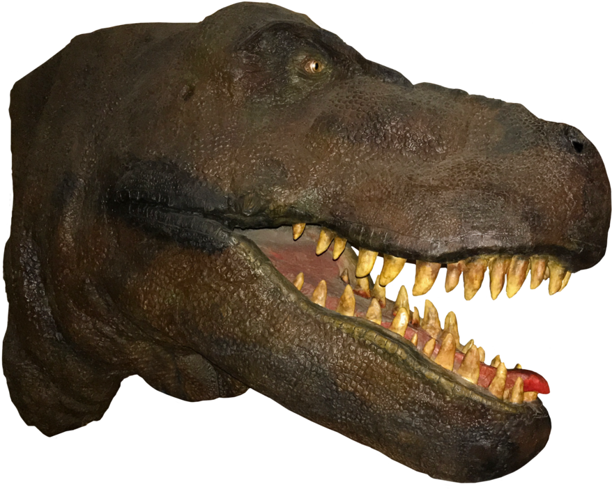 A Dinosaur Head With Sharp Teeth