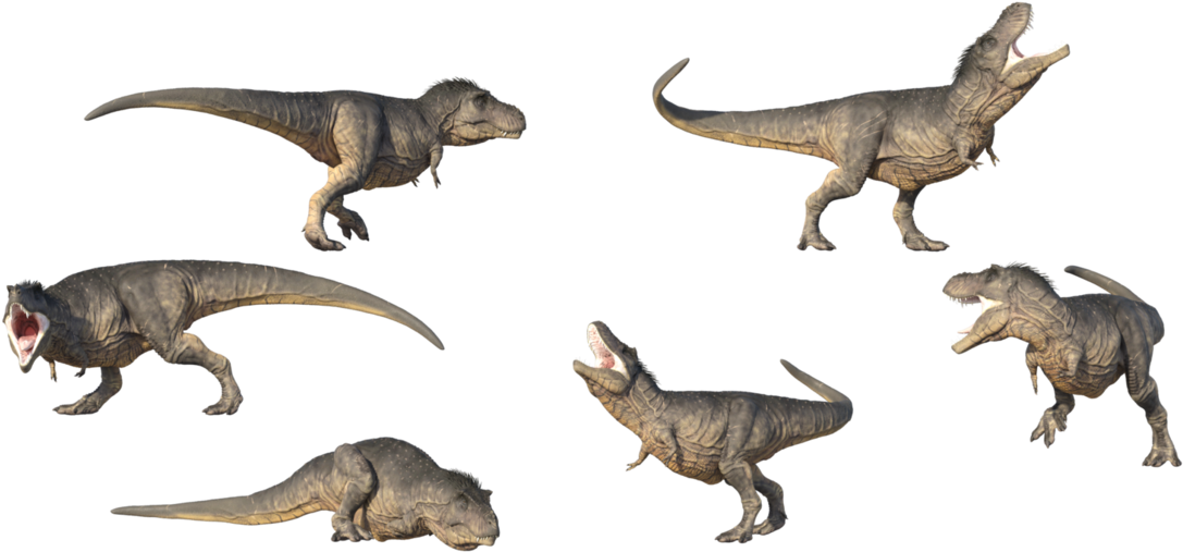 A Group Of Dinosaurs With Black Background