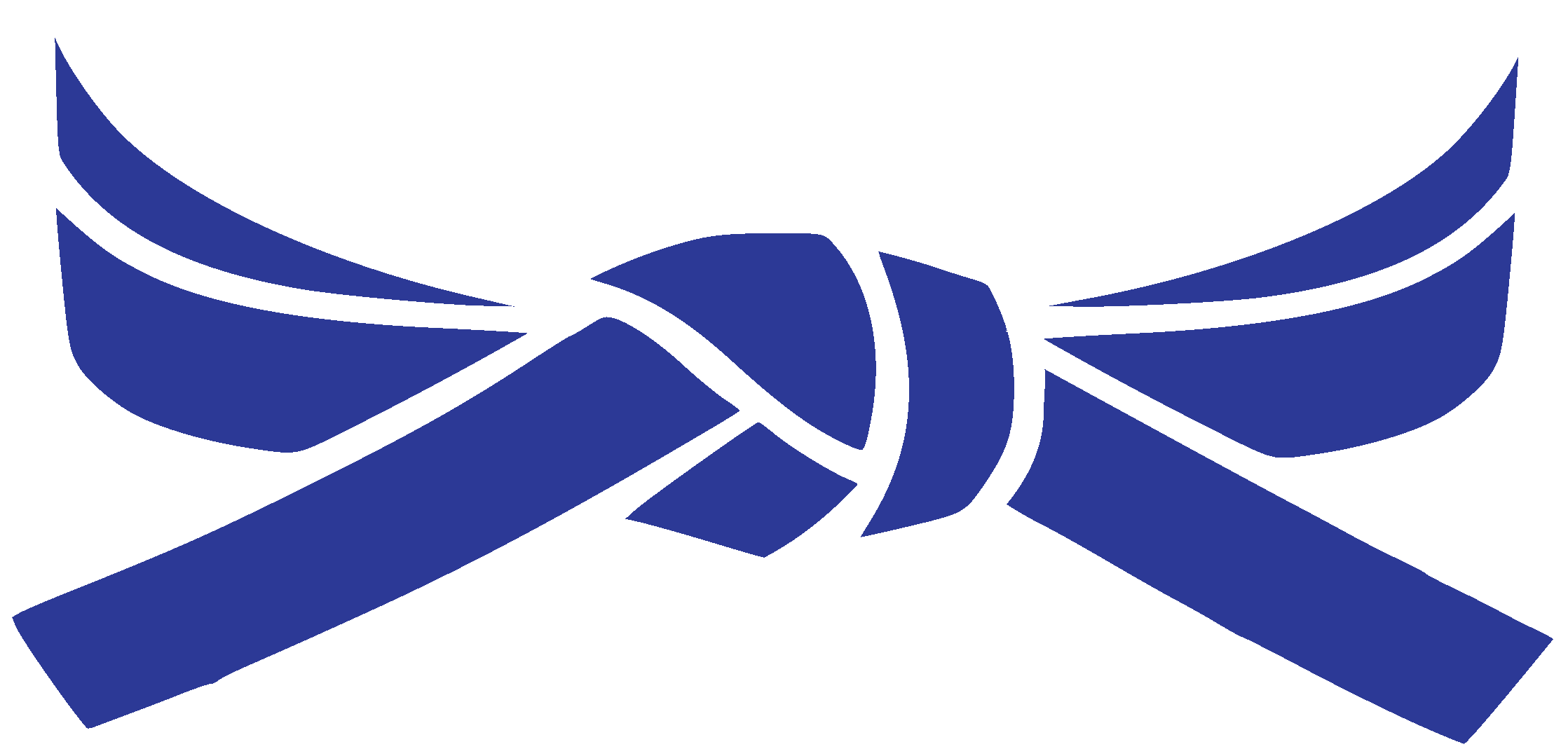 A Blue Ribbon With White Outline
