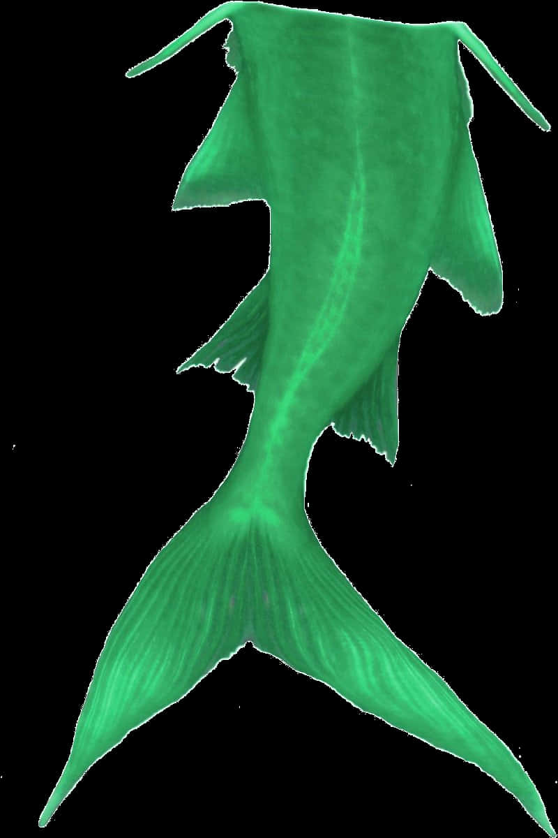 A Green Fish Tail On A Black Background