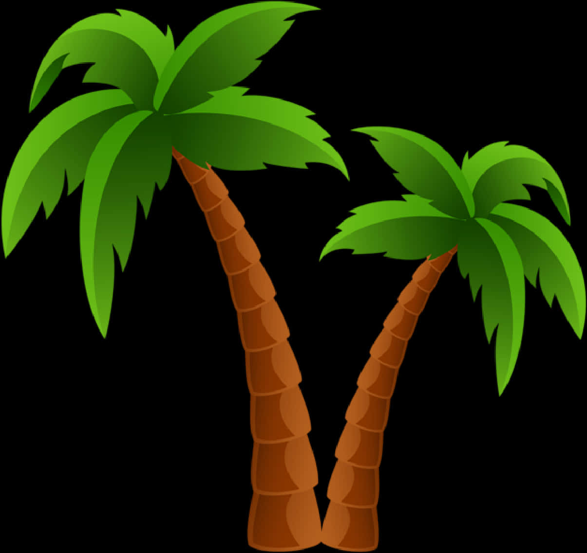 A Palm Trees With Green Leaves