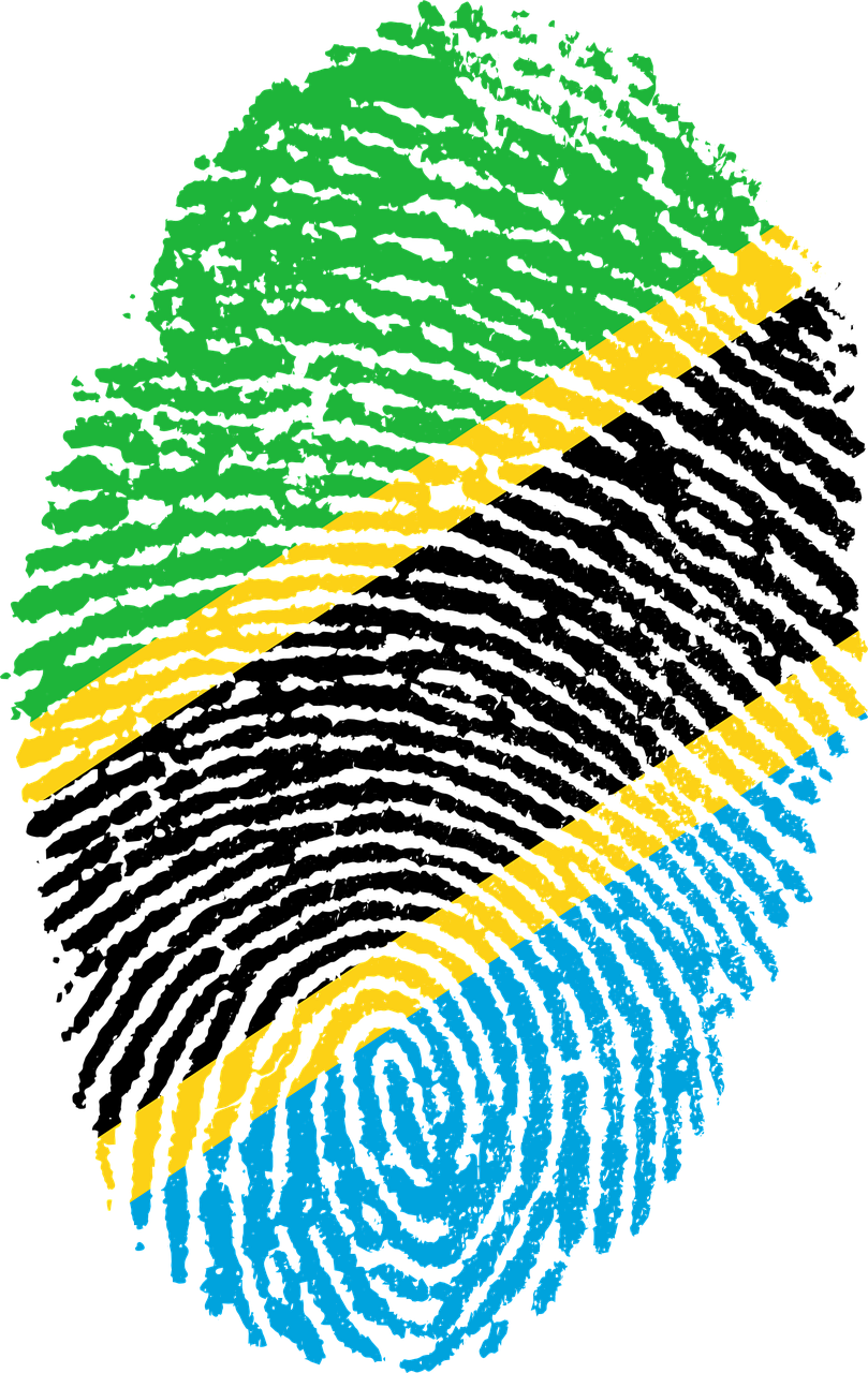 Tanzania Flag Png Isolated Image