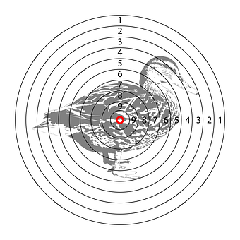 A Duck Target With Numbers And A Red Center