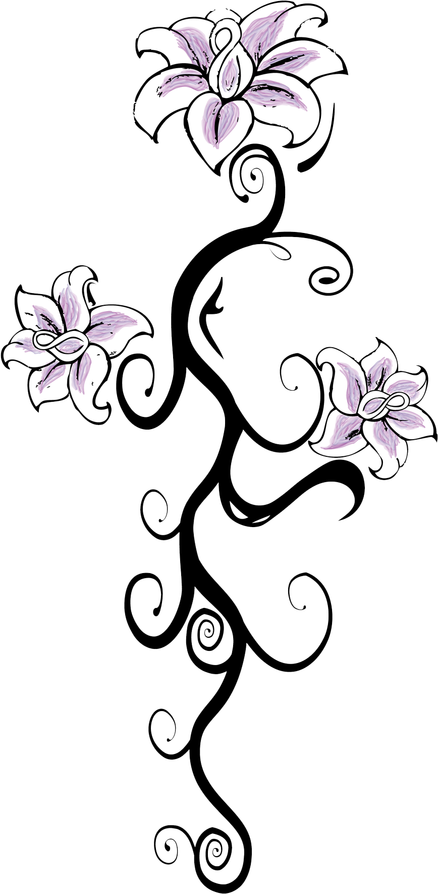 A White And Purple Flowers On A Black Background