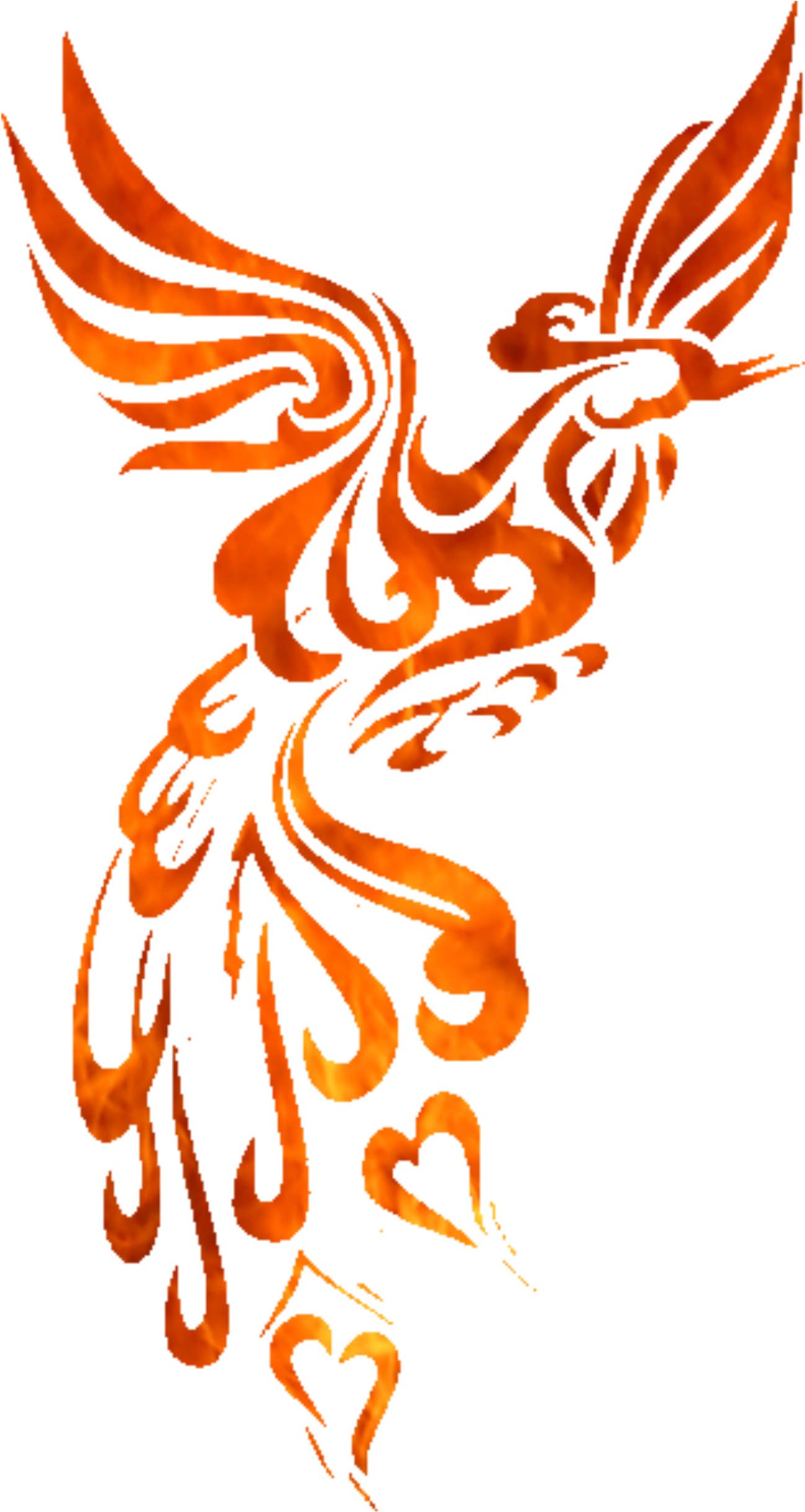 A Fire Bird With A Black Background