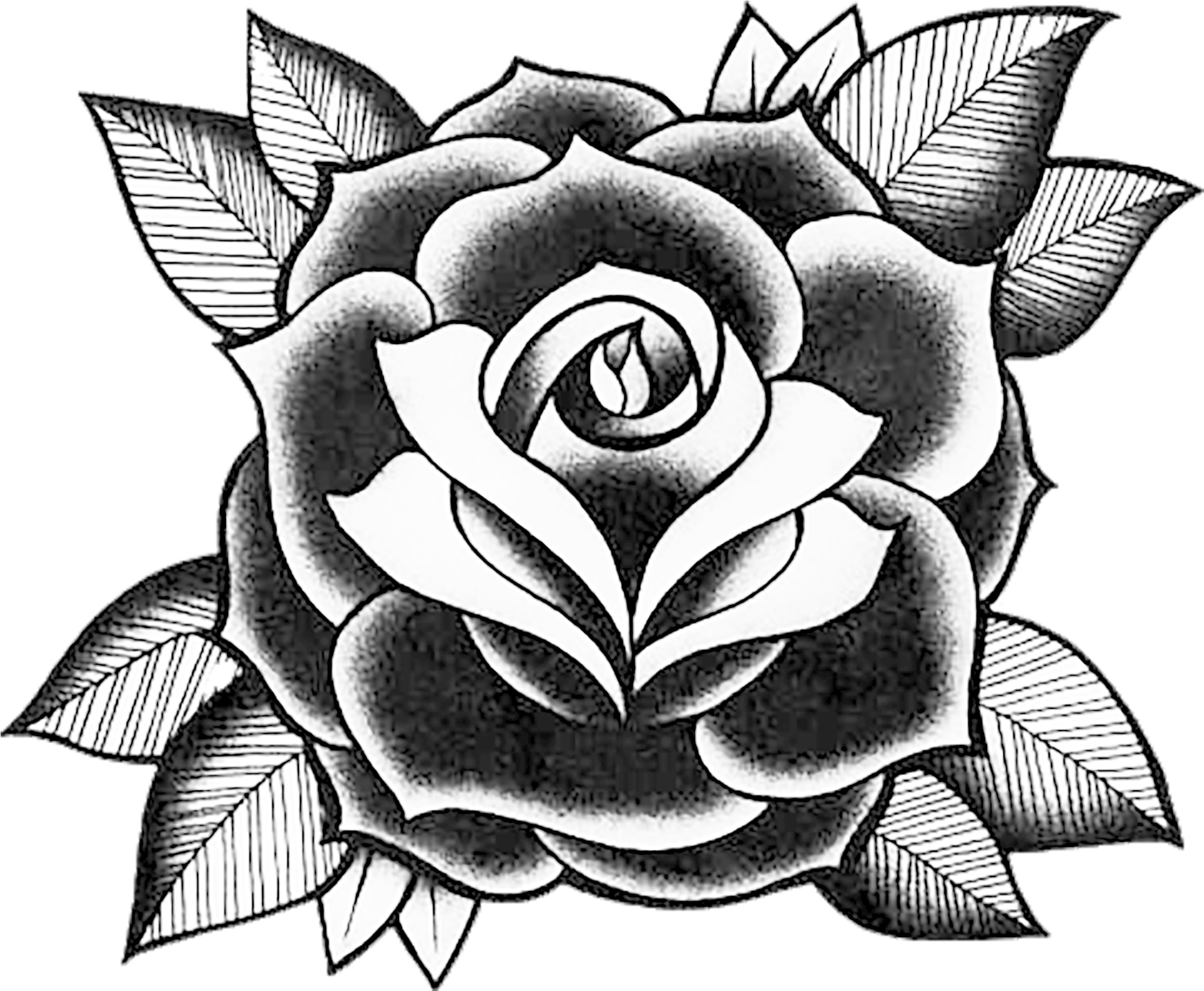 A Black And White Rose With Leaves