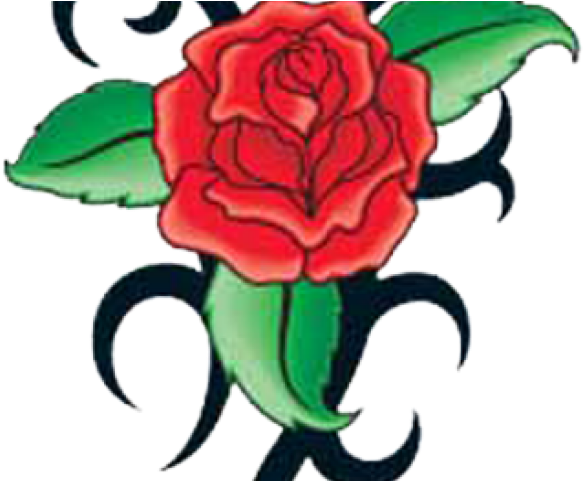 A Red Rose With Green Leaves And Swirls